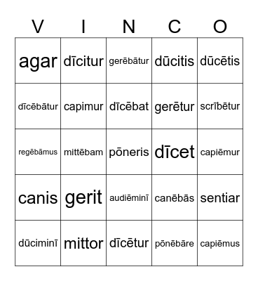 Present Indicative System of 3rd- and 4th-Conjugation Verbs Bingo Card