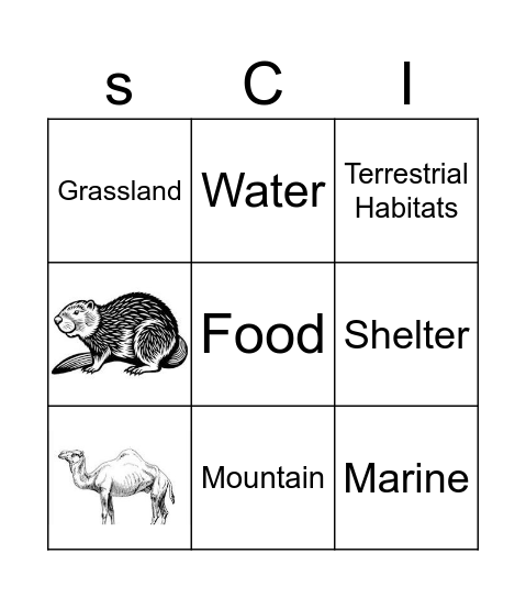 Habitat SCI Bingo Card