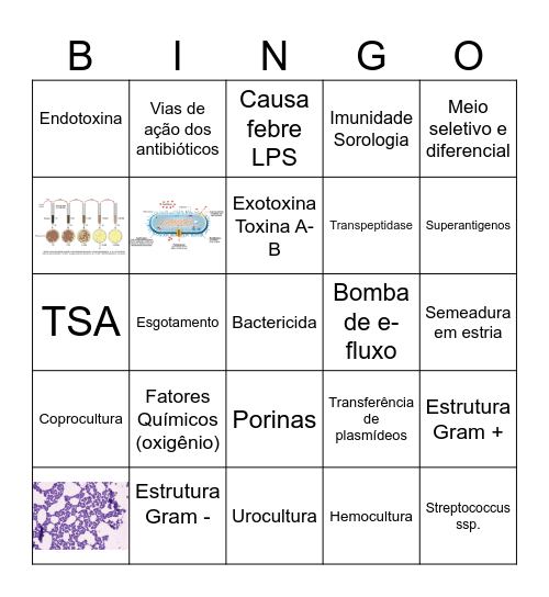 MICRO BINGO - MED 2025 Bingo Card