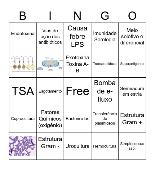 MICRO BINGO - MED 2025 Bingo Card