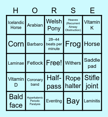 Equine & Wine Bingo - Round 1 Bingo Card