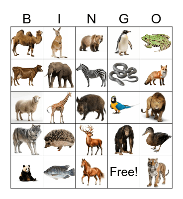 Animals Bingo Card