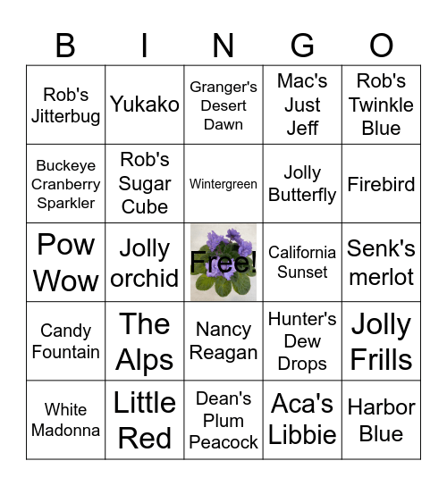 Violet Bingo Card