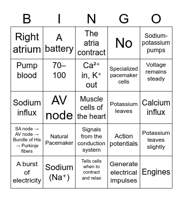 SA Node and Myocardial Cell Action Potential Bingo Card