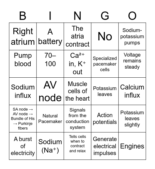 SA Node and Myocardial Cell Action Potential Bingo Card