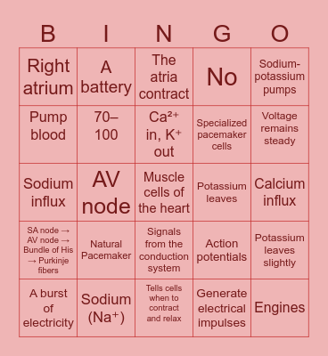 SA Node and Myocardial Cell Action Potential Bingo Card