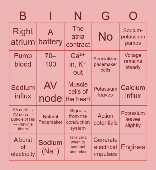 SA Node and Myocardial Cell Action Potential Bingo Card
