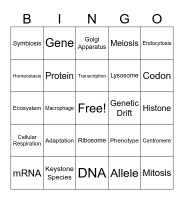 PB I & II Bingo Card