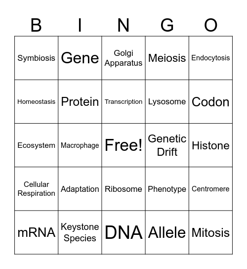 PB I & II Bingo Card