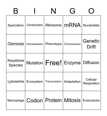 PB I & II Bingo Card