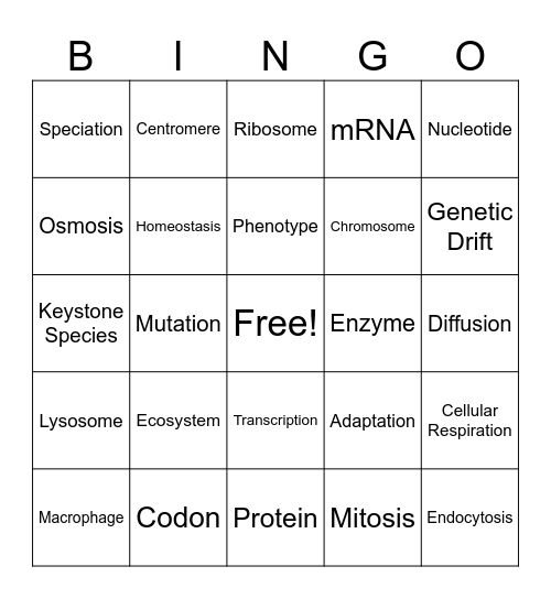 PB I & II Bingo Card