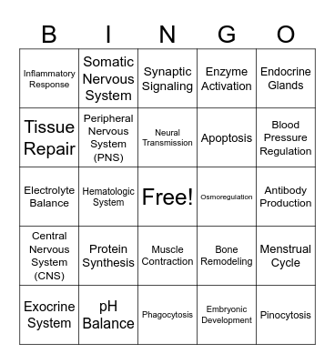Systems & Physiological Processes Bingo Card