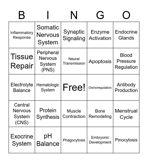 Systems & Physiological Processes Bingo Card