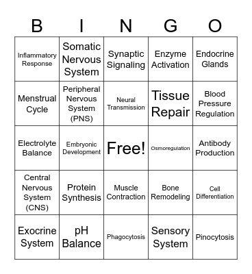 Systems & Physiological Processes Bingo Card