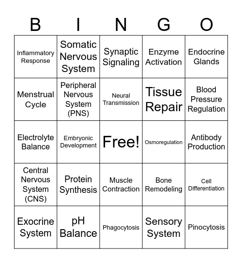 Systems & Physiological Processes Bingo Card