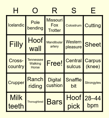 Equine & Wine - Round 2 Bingo Card