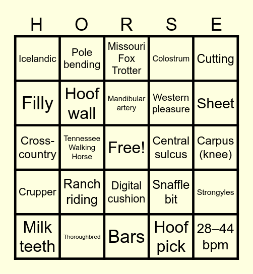 Equine & Wine - Round 2 Bingo Card