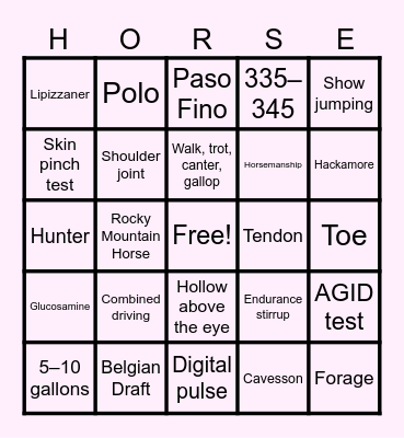 Equine & Wine - Round 4 Bingo Card