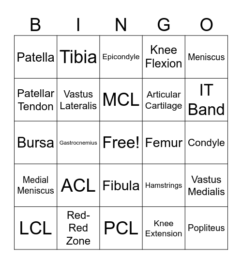 Knee Anatomy Bingo Card