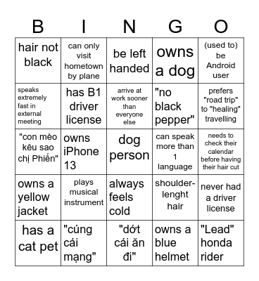 Find SAM1 stars Bingo Card