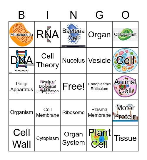 Cell Theory! Bingo Card