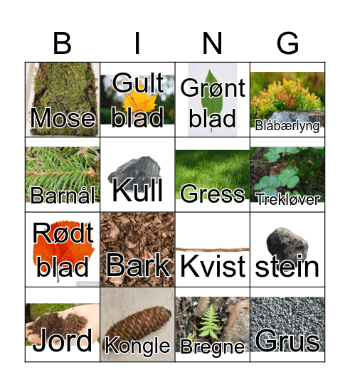 Naturbingo Card