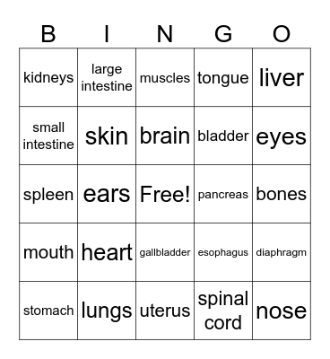 Anatomy Bingo Card
