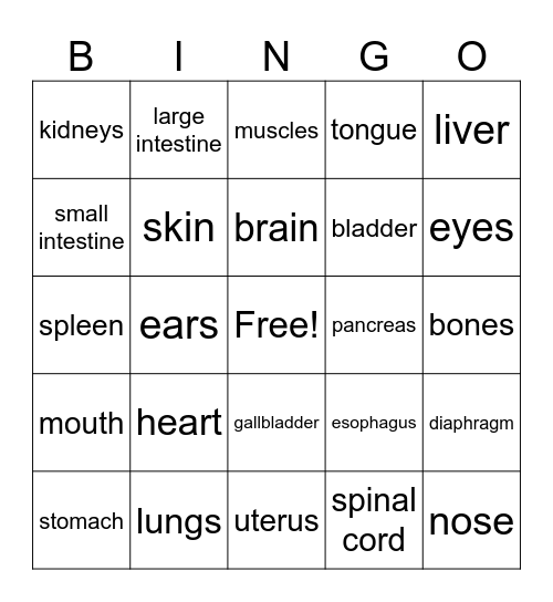 Anatomy Bingo Card