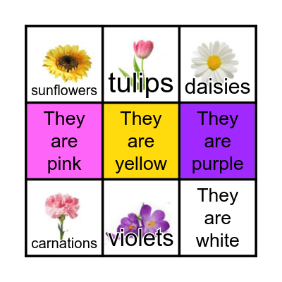 Star 2-4 lesson 3  FLOWERS Bingo Card