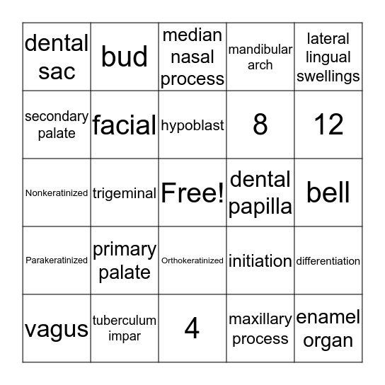 DH 306 Final Exam Review Bingo Card