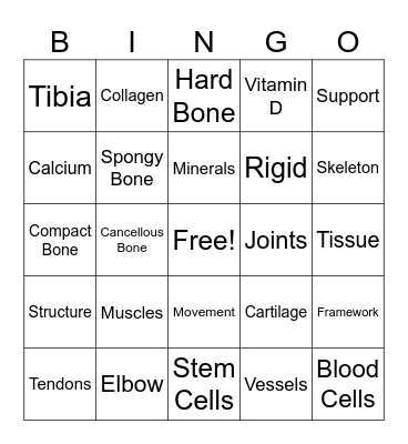 Skeletal System Vocabulary Bingo Card