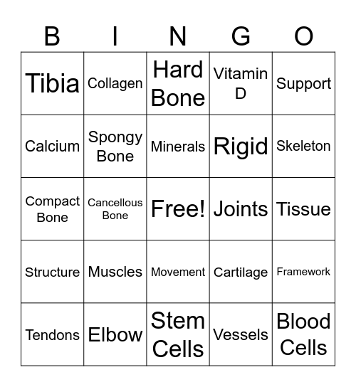 Skeletal System Vocabulary Bingo Card