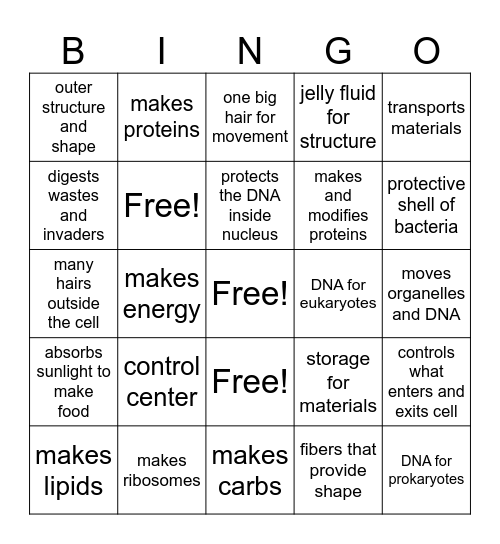 Cell Organelle BINGO Card