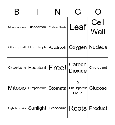 Review Bingo Card