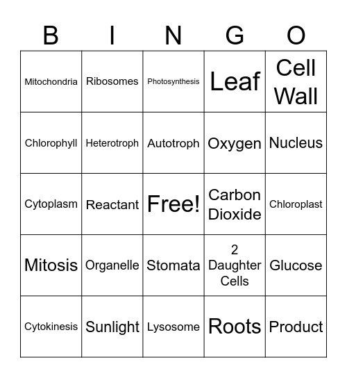 Review Bingo Card