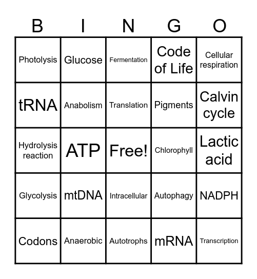 Biology Bingo Card