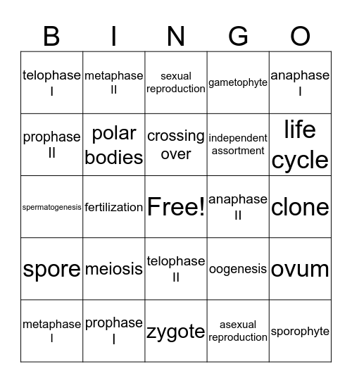 Meiosis Bingo Card