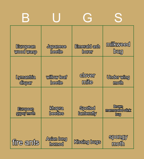 INVASIVE bugs in MO Bingo Card