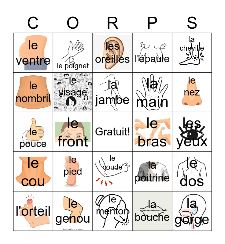 Les parties du corps Bingo Card