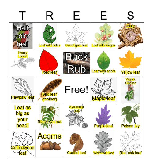 Leaf Bingo! Bingo Card