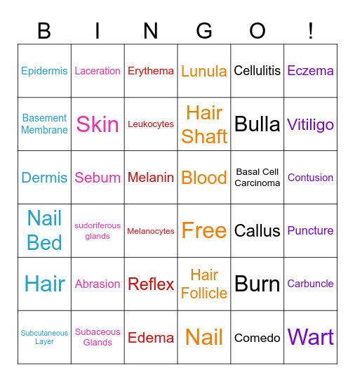 Integumentary System Showdown Bingo! Bingo Card