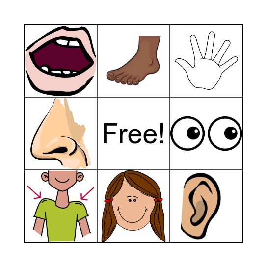 Cuerpo Bingo! Bingo Card