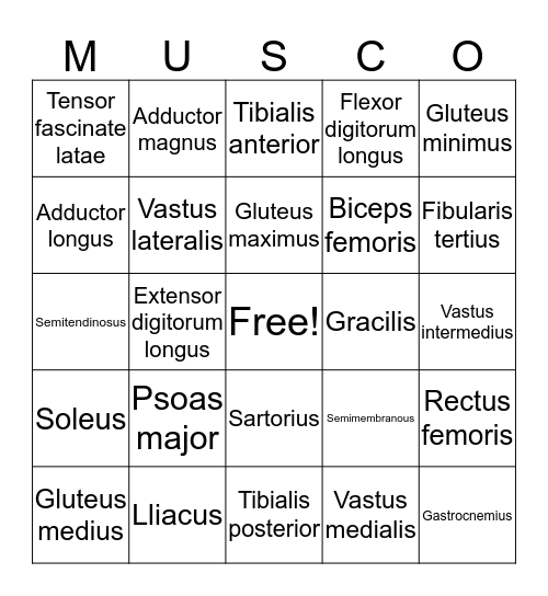 List 3 Bingo Card