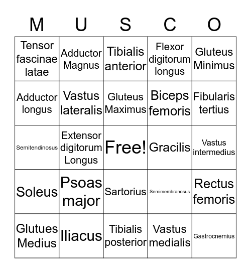 Musco Bingo Card