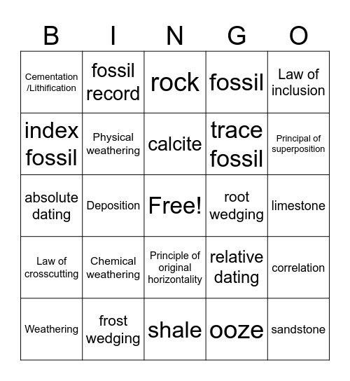 Sedimentary rock formation, laws, and fossils Bingo Card