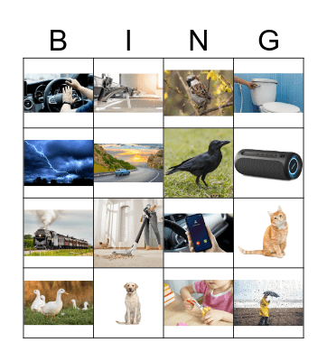 sounds Bingo Card
