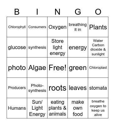 Photosynthesis Bingo Card