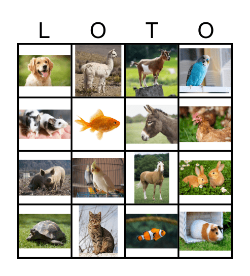 Les animaux Bingo Card