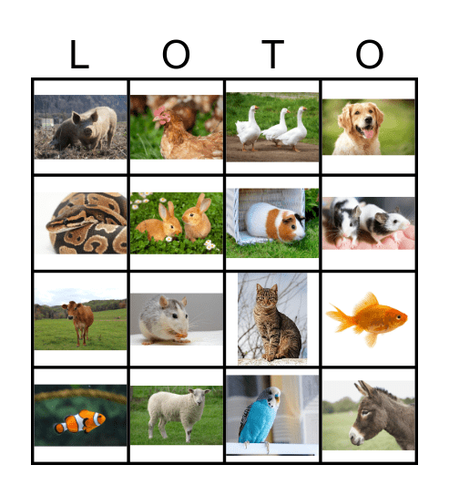 Les animaux Bingo Card