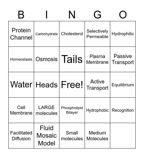 Cell Membrane BINGO Card